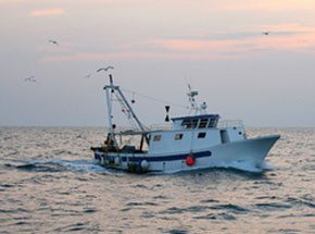 Рыбалка на гипероглифа в Японском море в подарок