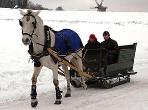 

Зимнее катание на санях